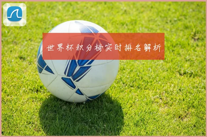 世界杯积分榜实时排名解析