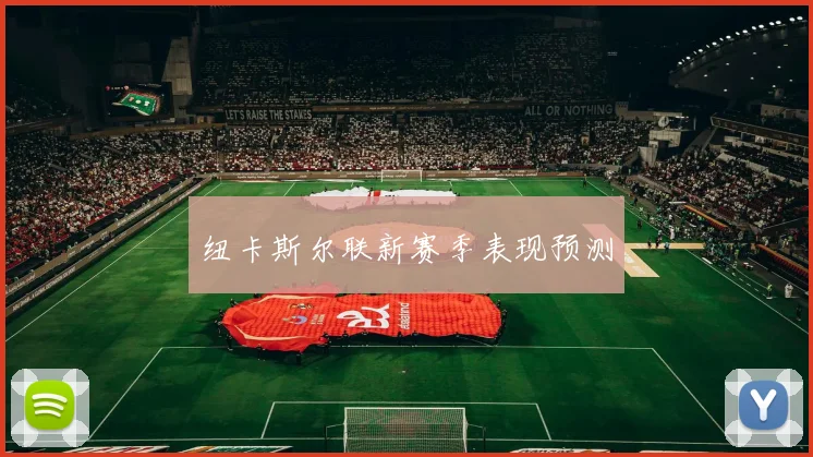 纽卡斯尔联新赛季表现预测